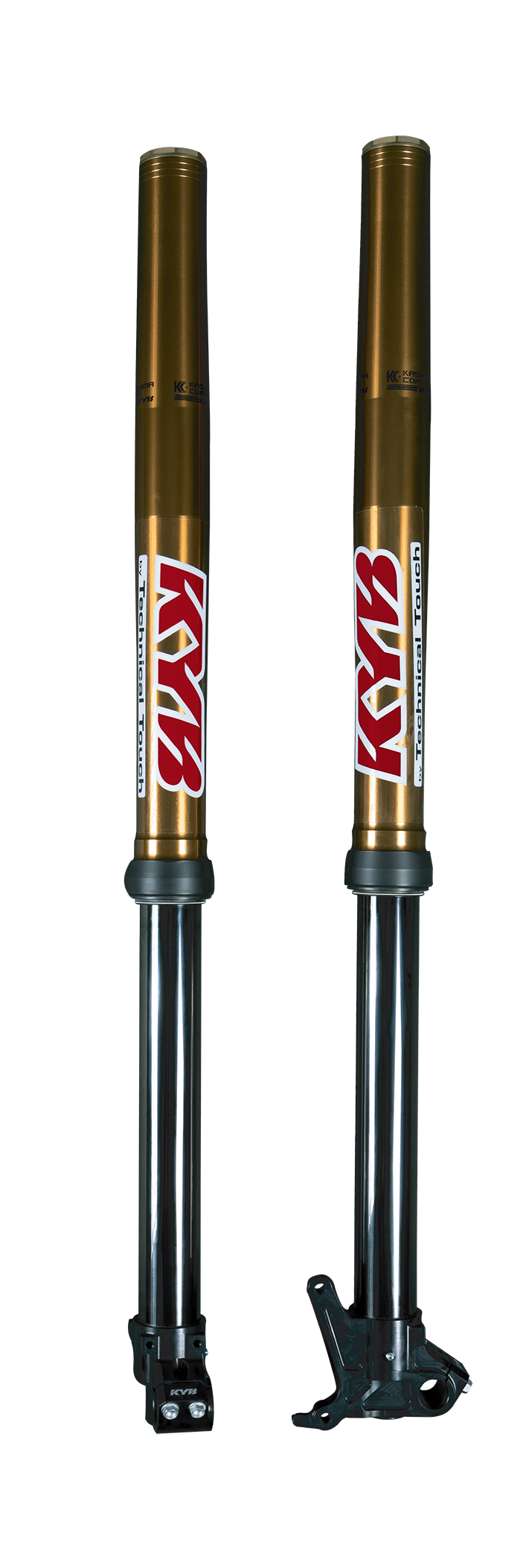 Image Title My Image