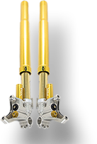 Image Title My Image